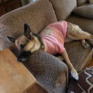 Meet your Posher, Robin